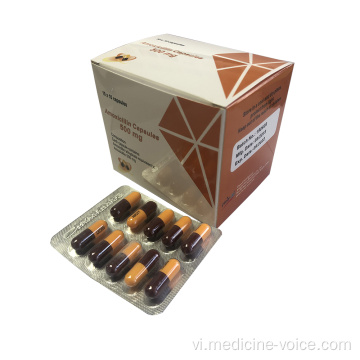 GMP Amoxicillin 500 Mg mỗi viên nang